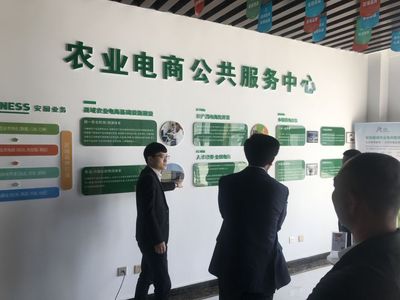 经典电商化开发 